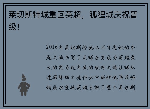莱切斯特城重回英超，狐狸城庆祝晋级！